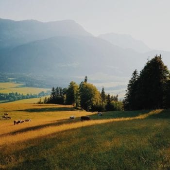 Aussicht-Prenner Alm-Hauser-Kaibling