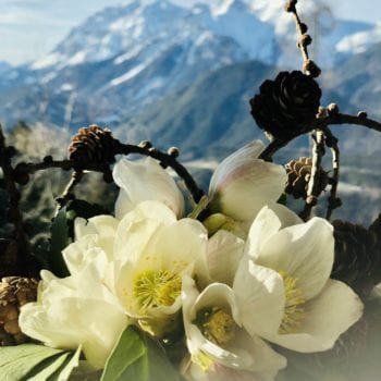Aussicht-Prenner Alm-Hauser-Kaibling-Frühlingswewachen