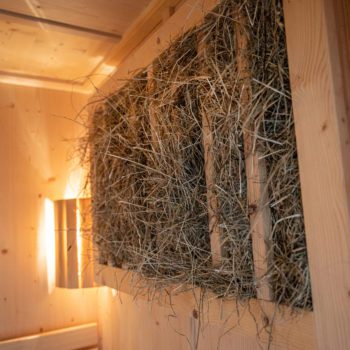 Almwellnes – Prenner Alm – Almhütte am Hauser Kaibling