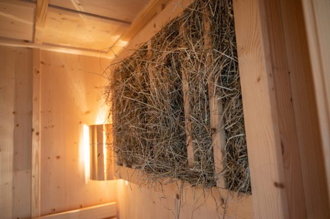 Almwellnes - Prenner Alm - Almhütte am Hauser Kaibling