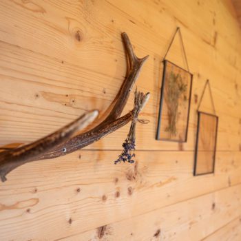 Prenner Alm – Almhütte am Hauser Kaibling, Steiermark