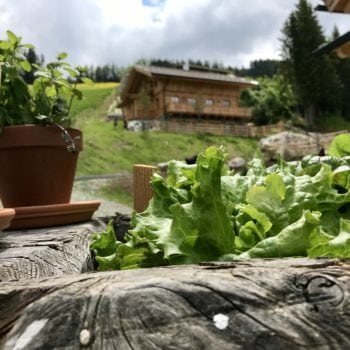 Almhütten in der Steiermark, Hauser Kaibling