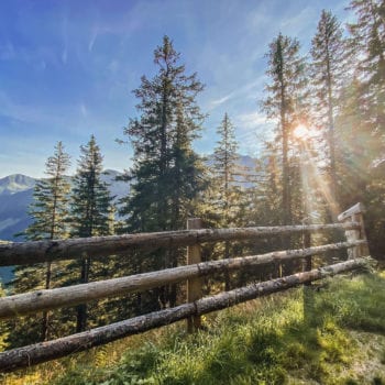 Impressionen Prenner Alm Sommer