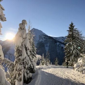 Prenner Alm-Hauser-Kaibling-Winterwanderweg