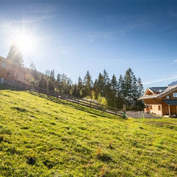 Prenner Alm, Almhütten am Hauser Kaibling
