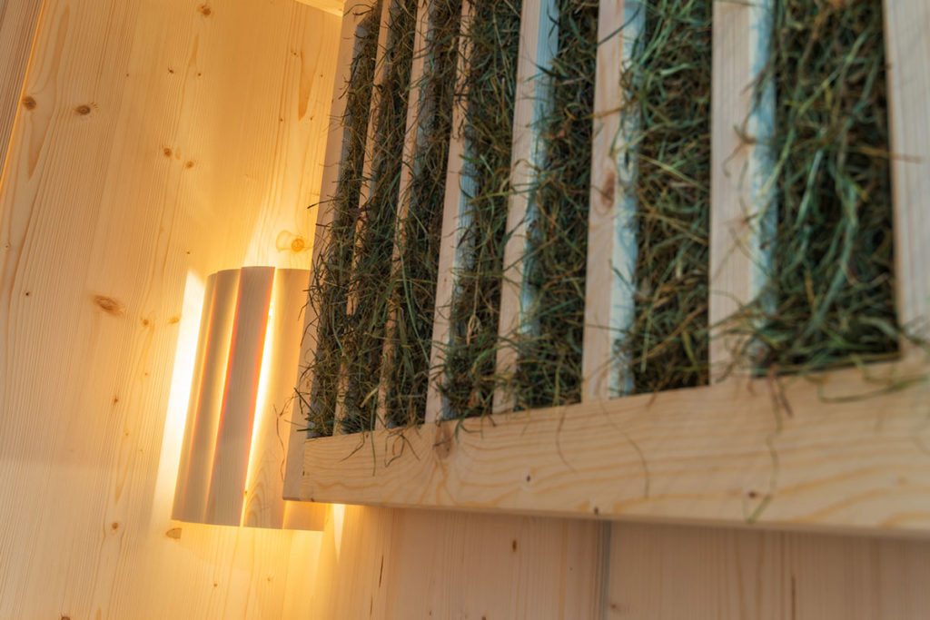 Almwellness - Prenner Alm in Haus im Ennstal, Almhütte in der Steiermark