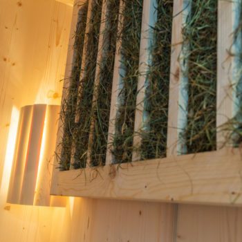 Almwellness – Prenner Alm in Haus im Ennstal, Almhütte in der Steiermark