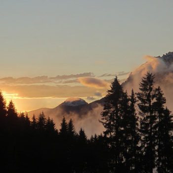 Impressionen Prenner Alm – Sommer