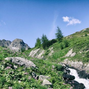 Impressionen Prenner Alm – Sommer