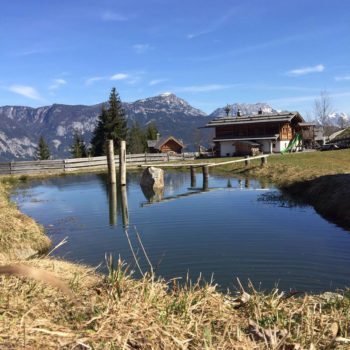 impressionen-prenner-alm-sommer-schwimmteich