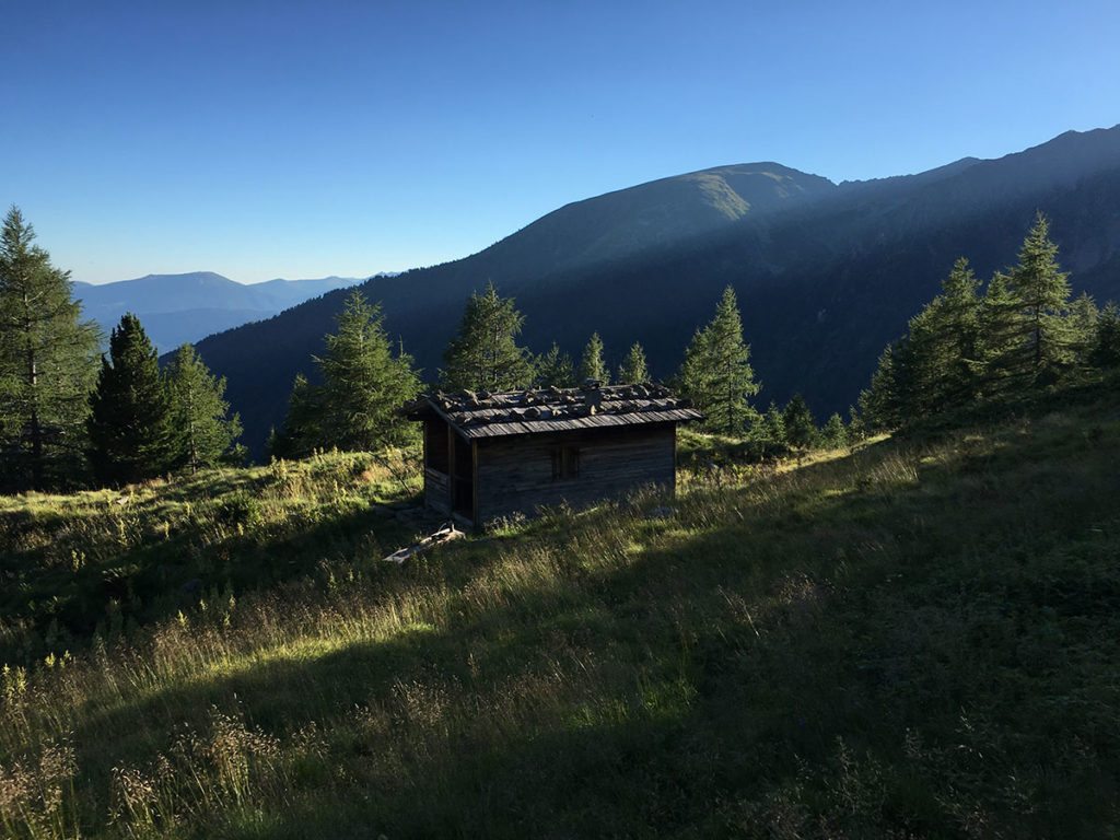 Impressionen Prenner Alm - Sommer