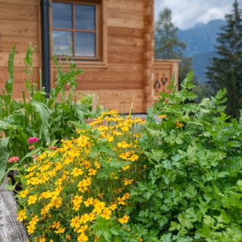 Prenner Alm, Almhütten am Hauser Kaibling
