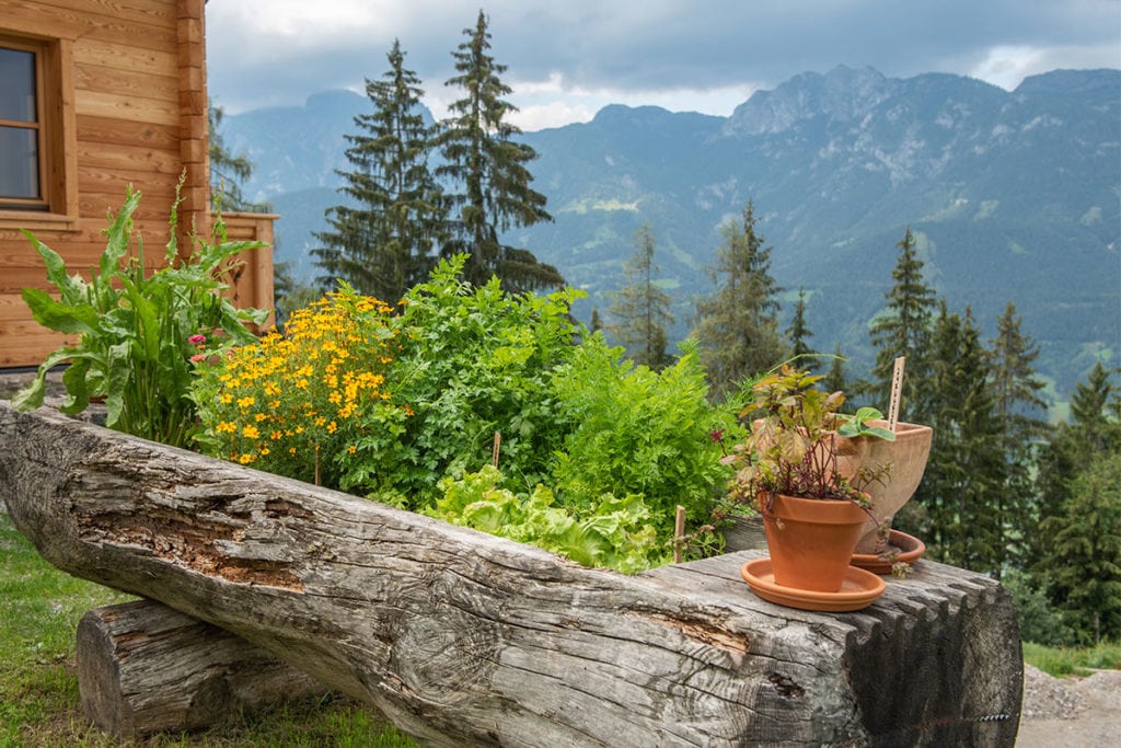 Prenner Alm, Almhütten am Hauser Kaibling