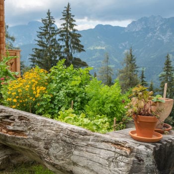 Prenner Alm, Almhütten am Hauser Kaibling